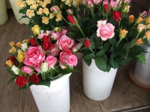 高山さんの朝摘みの薔薇